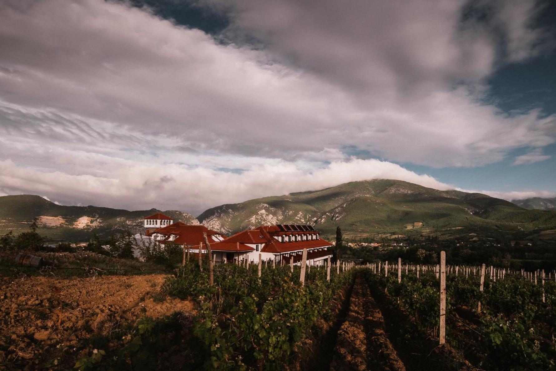 Popova Kula Hotel & Winery Demir Kapija Exterior photo